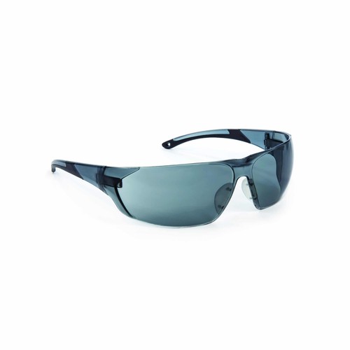 Riley sesto panorama vision - riley,