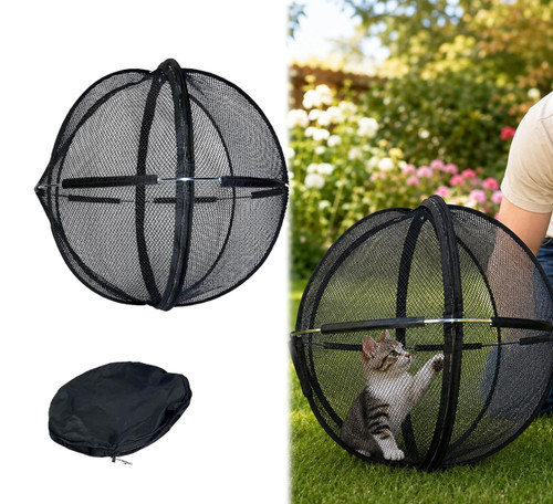 360 panoramic rolling cat - panoramic,